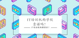itӖ(xn)C(j)(gu)W(xu)УV᣿itӖ(xn)C(j)(gu)ļҺã